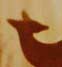 shadow-crop-2.jpg