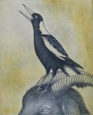 Magpie Calling