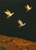 Three Birds