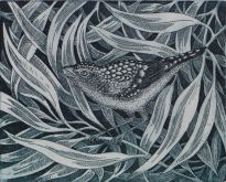 Singing in The Dark: Pardalote