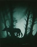 The Darkly Woods