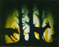 Chasing Shadows